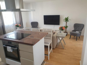 Appartement spacieux et cosy